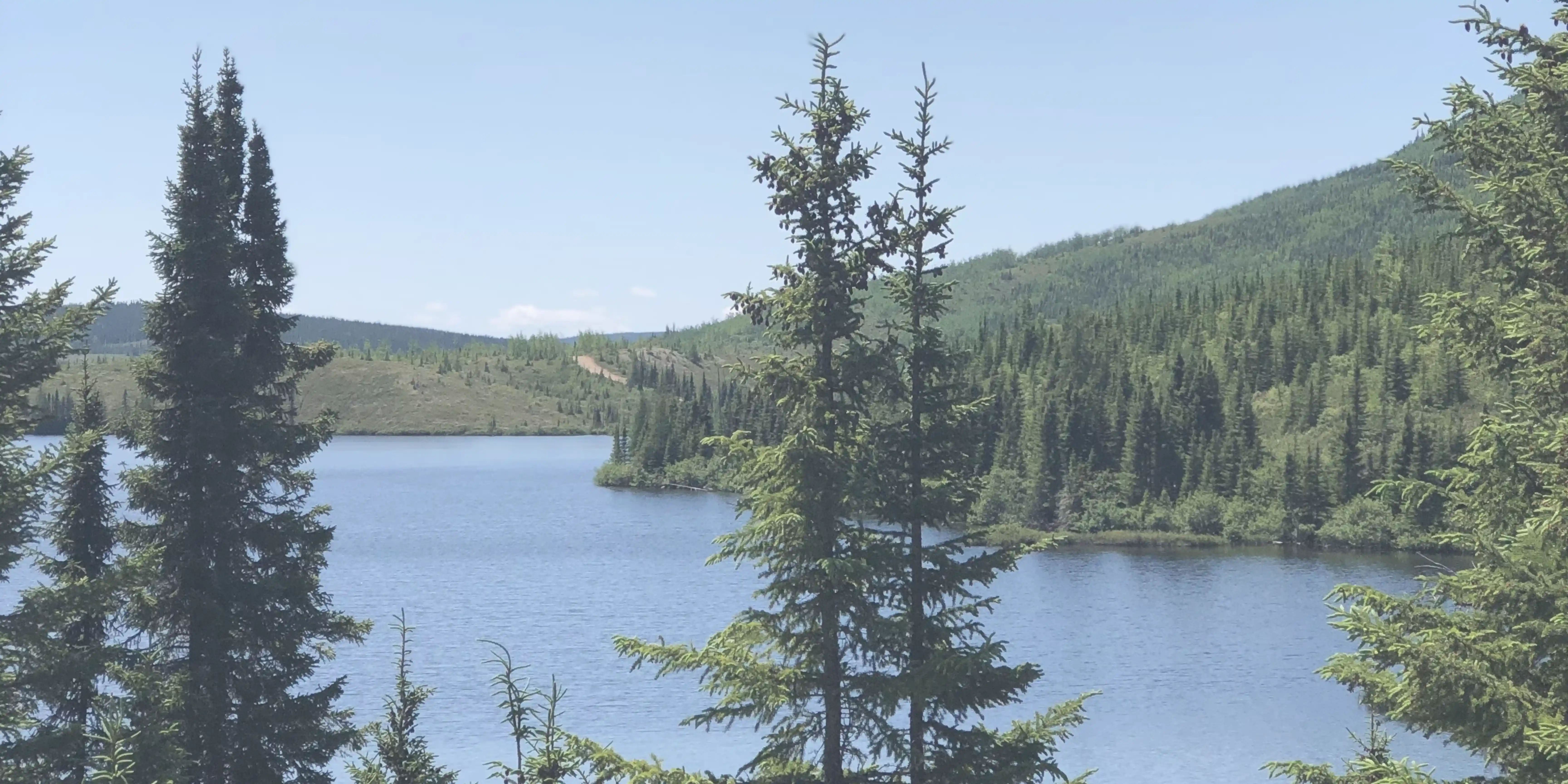 Scenic view of a calm lake surrounded by evergreen trees and rolling green hills under a clear blue sky.